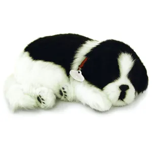 Border Collie Soft Bundle